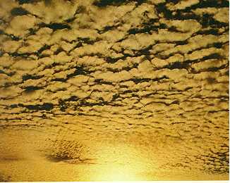 altocumulus.jpg (18431 bytes)