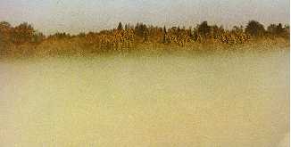 lage wolken2.jpg (5818 bytes)