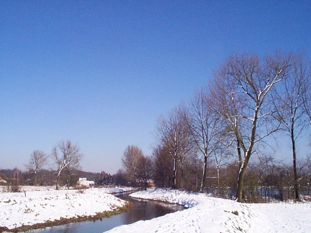 Sneeuw bedekt de grond rond de Mangelbeek in Lummen op een prachtige winterse dag in februari 1999.
