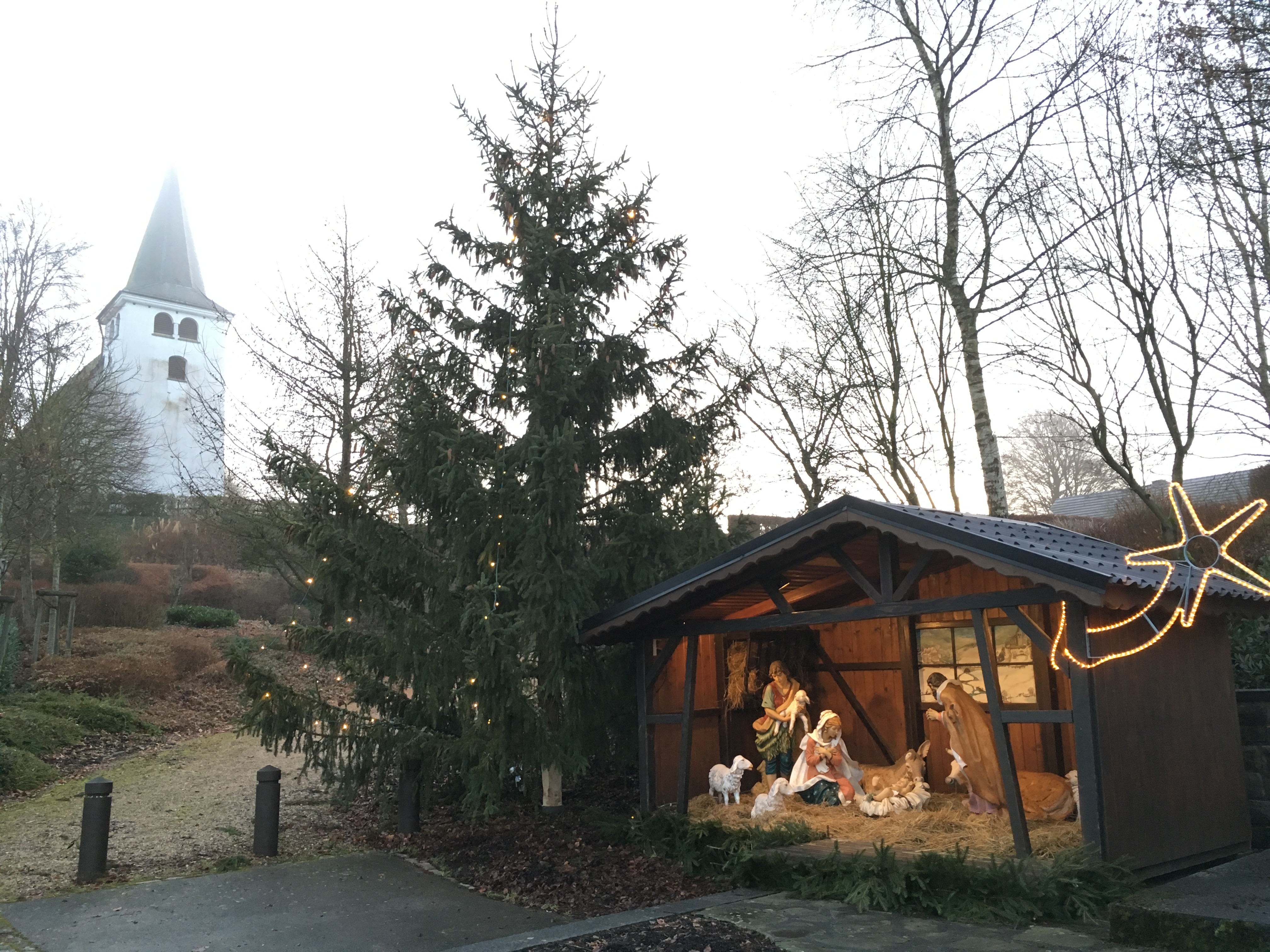 Wirtzfeld, Belgische Ardennen