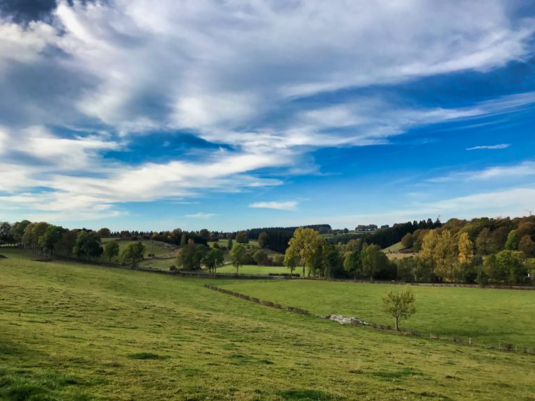 Wirtzfeld