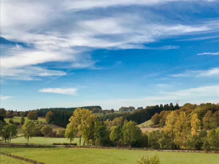 Wirtzfeld