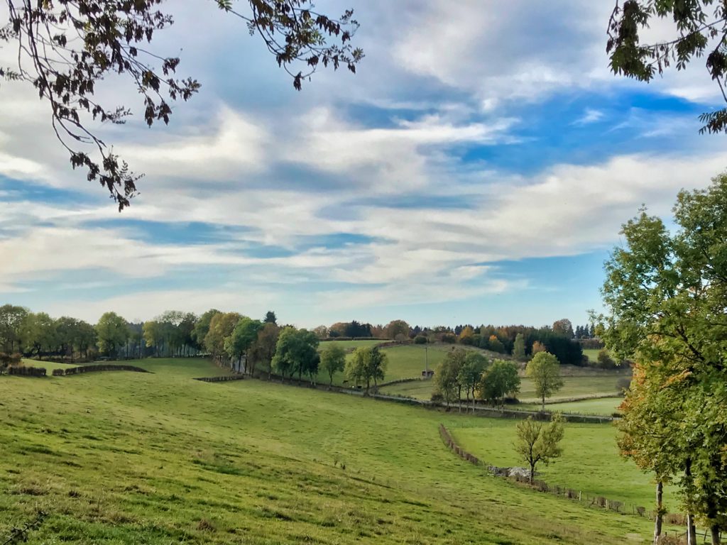 Wirtzfeld, Belgische Ardennen