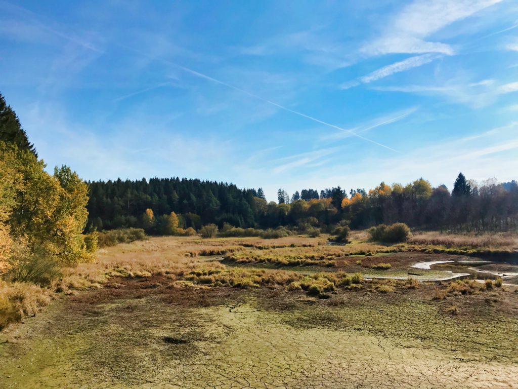 Wirtzfeld, Belgische Ardennen