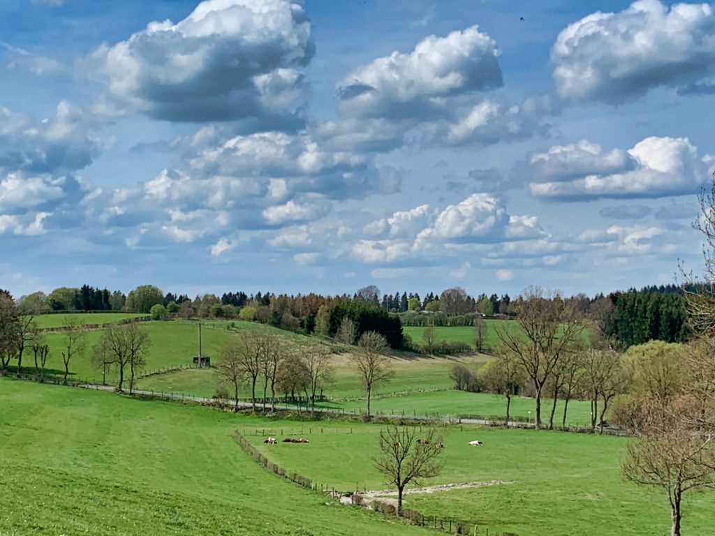 Wirtzfeld, Belgische Ardennen
