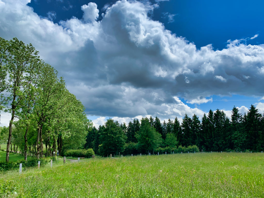 Wirtzfeld, Belgische Ardennen