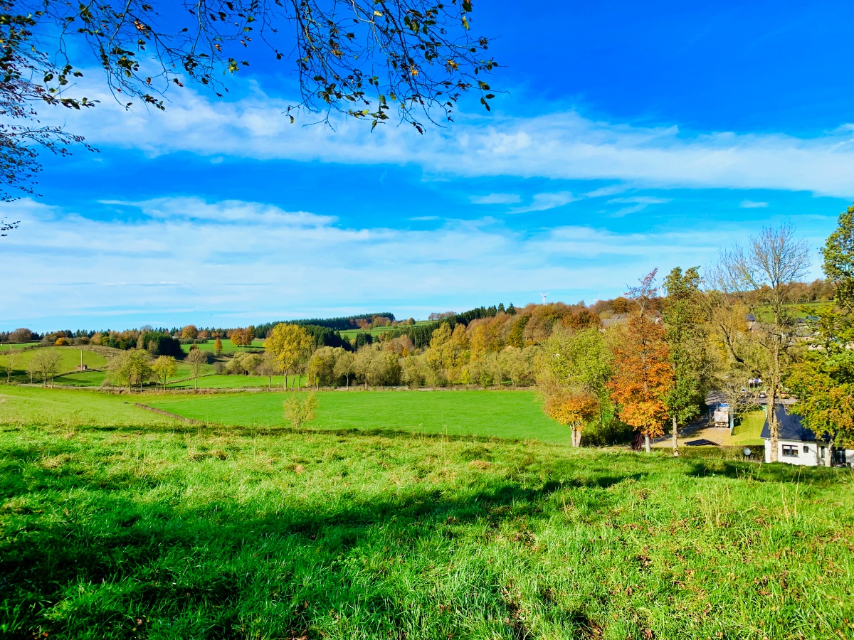 Wirtzfeld, Belgische Ardennen