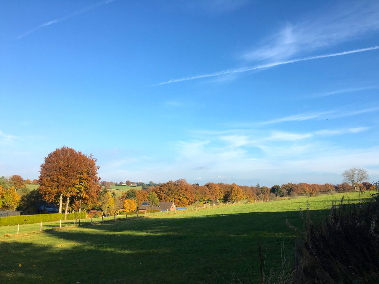 Wirtzfeld, Belgische Ardennen
