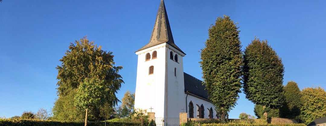 Wirtzfeld, Belgische Ardennen